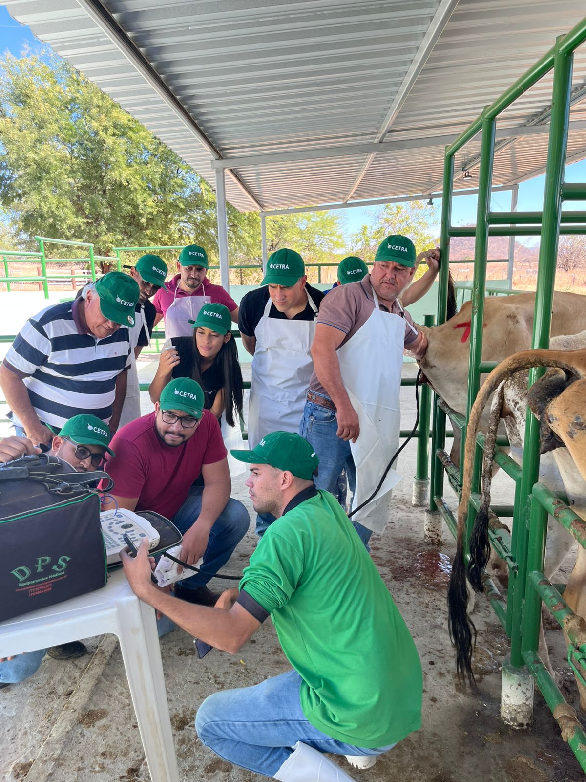 Aluna do CETRA treinando técnica de inseminação artificial bovina