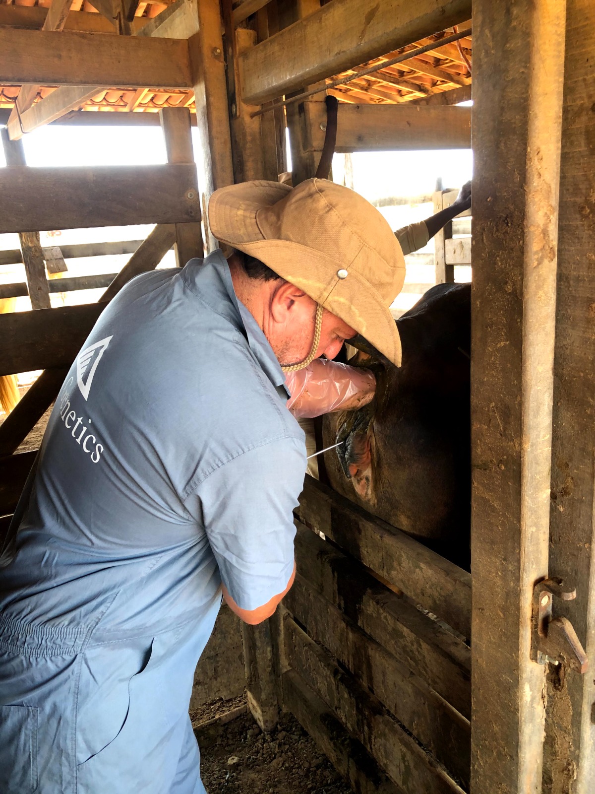 Dr. Luis André Cardoso Ledo, médico veterinário e instrutor do curso de inseminação artificial do CETRA